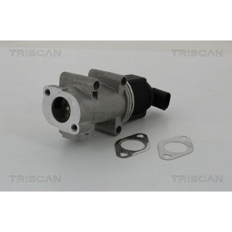 Vanne EGR Triscan 8813 10005 ALFA ROMEO 46460132 46785766 55182482 55204235