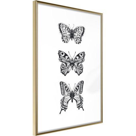 Affiche Murale Encadrée "Butterfly Collection III" 40 x 60 cm Or (1/2)