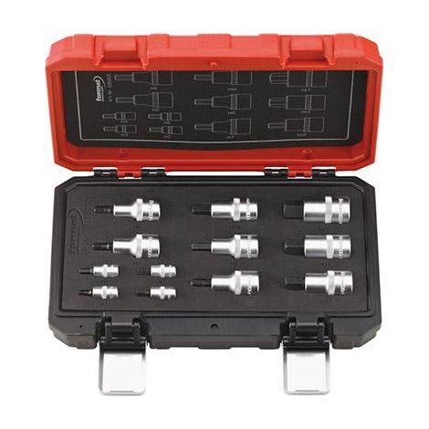 FORMAT Schraubendreher Einsatz Garnitur 1/4" + 1/2" (1/5)