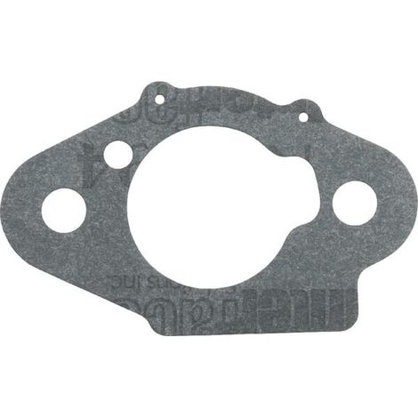 Junta de purificador de aire Briggs y Stratton - 798508
