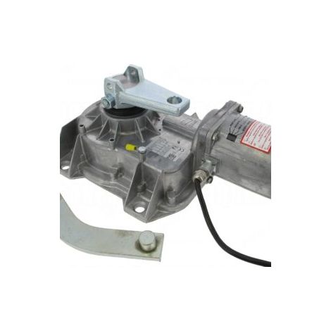 Came Frog A24 Gate Motor
