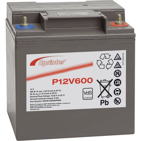 Batterie au plomb 12 V 24 Ah GNB Sprinter P12V600 plomb (AGM) (l x H x P) 169 x 175 x 128 mm raccord à vis M6 sans entretien, certification VdS X94404 (1/4)