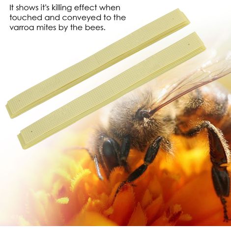 Lot de 40 bandelettes anti-varroa ManHao au fluvalinate, traitement apicole efficace contre les acariens, bandes imprégnées pour ruches