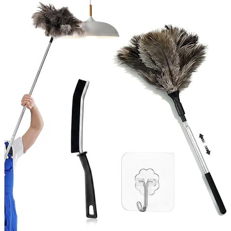 Ostrich Duster, 45 cm-120 cm Extendable Feather Duster (1/5)