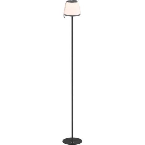 REALITY LEUCHTEN DOMINGO R42096142 LAMPADAIRE D'EXTÉRIEUR À LED EN MÉTAL ANTHRACITE, PLASTIQUE BLANC, 2 W (1/5)