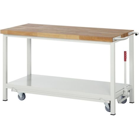 Etabli Rau avec châssis abaissable modèle 8000 L 1500 x P 700 x H 880mm (1/5)