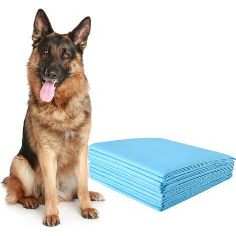 Tapis éducateurs pour Chiot 5 Couches Lot de 150 Tapis Absorant pour Animaux 75x75CM (1/5)
