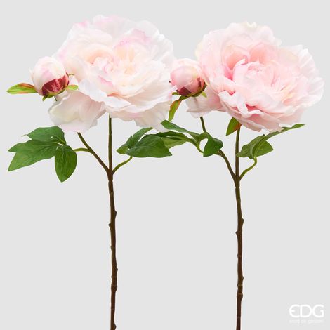 EDG Ramo Peonia Real Bianco Con Bocciolo H 54 (1/3)