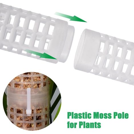 Tuteur en sphaigne 25cm, support en mousse végétale pour plantes grimpantes, tuteur en fibre de coco pour pothos, kit de fixation personnalisé 25cm (1/5)