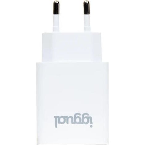 Cargador de Pared iggual IGG318188 12 W (1/4)