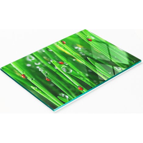 Dekoratives Küchenschneidebrett aus Glas, Marienkäfer-Gras, 80 x 52 cm (1/5)