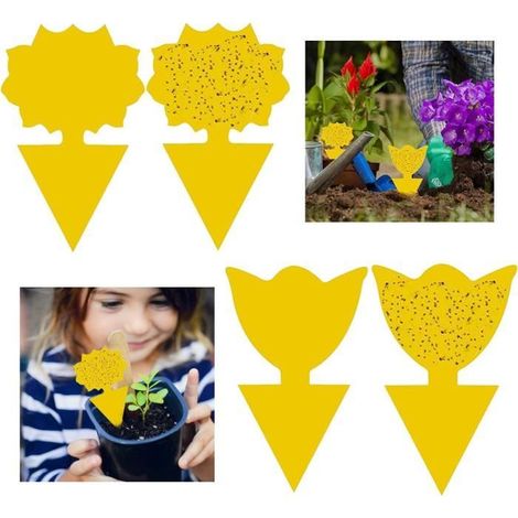 Lot de 3 Moules à en Silicone, Moule Silicone, 9 Cavités Moule , Moules en Silicone en Forme de Coquille pour Bonbons, Pudding (1/4)
