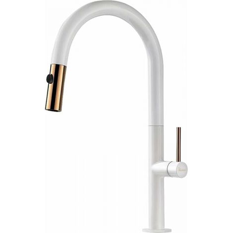 SNQ – Robinet mitigeur de cuisine avec douchette 2 jets pivotant 360° – Laiton et acier inoxydable – Bec haut pour grands pots – Installation facile (1/5)