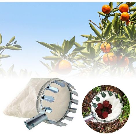Panier à fruits en métal avec tête de cueillette de fruits de 150 mm de haut, sac en coton, branche haute, outil auxiliaire pour récolter les pommes, agrumes, poires, pêche, etc (1/5)