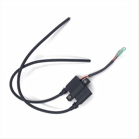 Bobine haute tension pour moteur hors-bord 3341094400 3341092L11 (1/5)