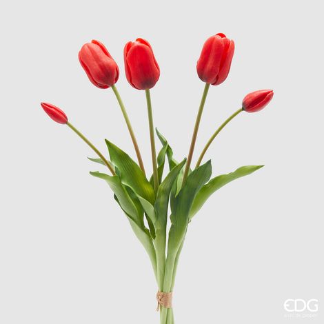 EDG Enzo De Gasperi Bouquet 5 Tulipani con Foglie H 48 Cm Red (1/4)