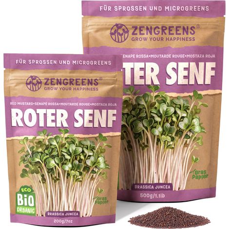 Bio Keimsaat Roter Senf 200 g Sprossen und Microgreens ZenGreens