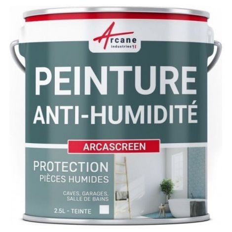 Arcasreen Anti-Feuchtigkeitsfarbe 2,5 Liter Weiß - Arcane