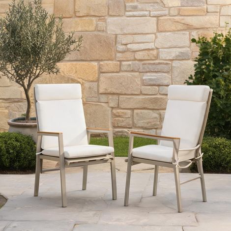 2 Chaises de Jardin Pliantes en Métal avec Accoudoirs en Bois (1/5)