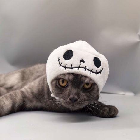 Halloween-Dekoration – Skelettkopf – Skurrile Dekoration – Katzen- und Hundekopf – Haustierhut (1/2)