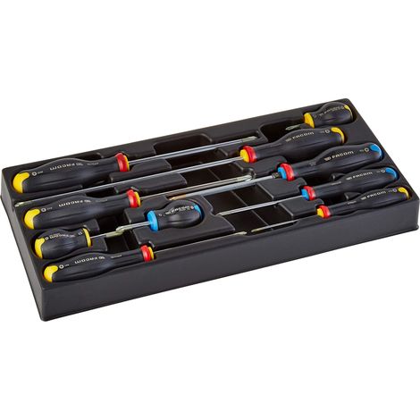 Modules de 10 TOURNEVIS en plateau thermoformé - 900g