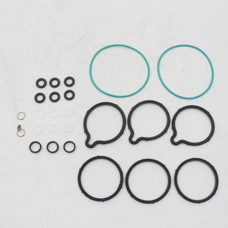 0445010002 Kit di riparazione guarnizioni pompa alta pressione Fiat Alfa Romeo  02806 (1/4)