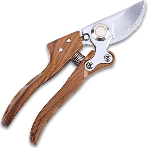 Forbici da Giardino Manuali Professionali: Forbici per la Cura del Giardino con Manico in Legno a Grana, Lama Affilata SK5 da 200 mm per Potare Rami e Fiori (1/4)