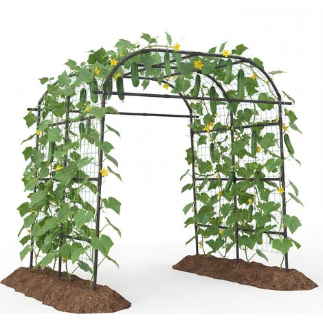 Arche de jardin noire en métal de 2,3 m avec treillis pour plantes grimpantes et largeur réglable, pour jardin et potager (1/5)