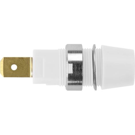 Schützinger Prise en saillie de sécurité blanc 1 pc(s)