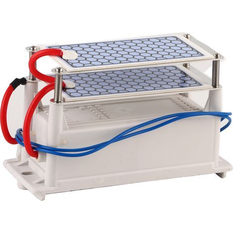 Portable Ozone Generator 10 g/h, 110 V AC, Integrated Ceramic Plate for Air Sterilization (1/3)