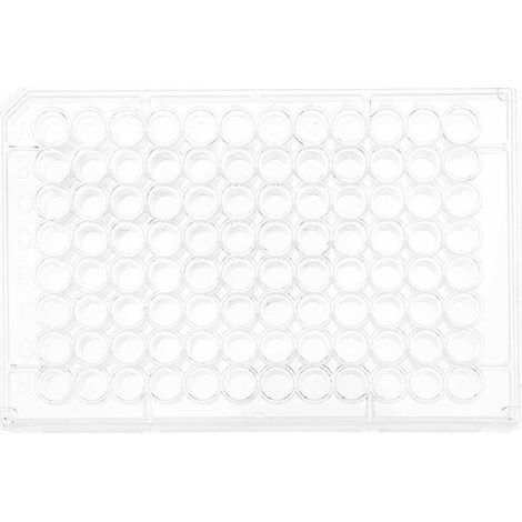 plaque de culture pour expériences scolaires