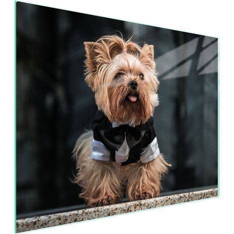 TABLA DE CORTAR DE VIDRIO 52x40 PERRO (1/5)
