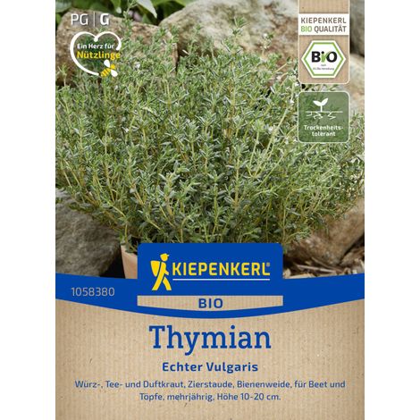 Kiepenkerl Saatgut BIO Thymian Echter Vulgaris für ca. 150 Pflanzen (1/2)