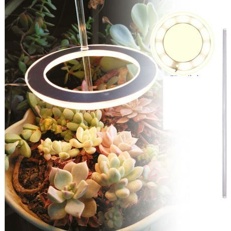 Lampe De Croissance À Led Pour Plantes D'Intérieur - Spectre Complet - Hauteur Réglable - Blanc Chaud A (1/4)