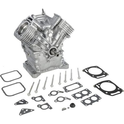Monoblocco completo (MDL 38 HS) BRIGGS & STRATTON 80085083 (1/3)