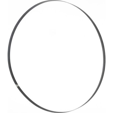 Lame de scie à ruban 1575x10x0,36 mm 6 ZpZ Holzmann Maschinen BSB230B10
