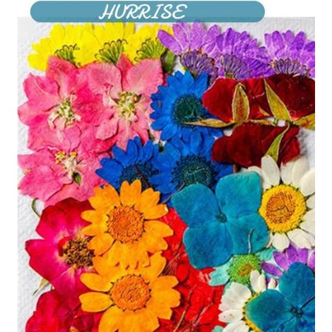 Sonew capitules séchés 36Pcs Fleurs Séchées Assortis Couleurs Naturel Matériau Multi Purpose luminaire plante (1/5)