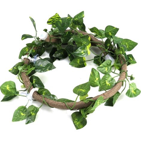 Branche grimpante flexible pour reptiles, jungle, 1 m (rotin de 1 m + feuilles de Scindapsus) (1/5)