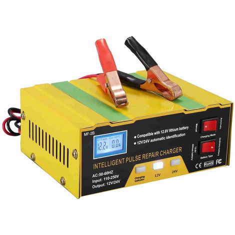 Type de réparation d'impulsions intelligents du chargeur de batterie 12V / 24V avec affichage numérique pour la moto (1/5)