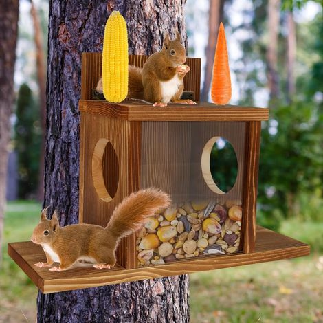 1 Mangeoire écureuil,bois,fenêtre carrée,base allongée,résistant intempéries,jardin