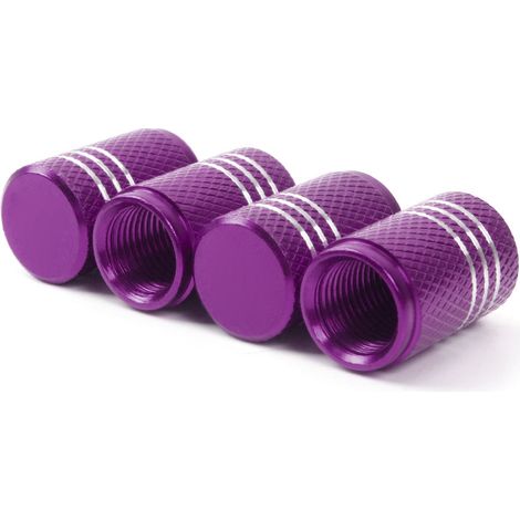 Accessoires de modification automobile : valves de pneus compatibles avec Tesla Model 3 XYS, bouchons de valve et bouchons à vis - acier inoxydable, type à visser - violet (avec marquages) (1/4)