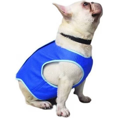 Gilet Rafraîchissant Pour Chien - Tissu Respirant En Maille Et Coton - Activation À L'Eau - Protection Solaire - Taille S 25 cm - Bleu (1/5)