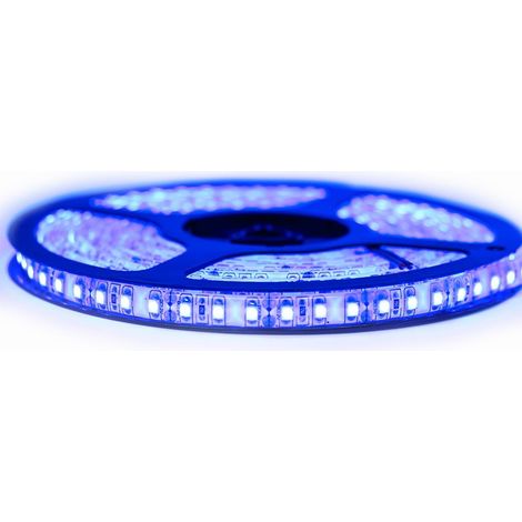 Kit Ruban Professionnel 3528 - 120 leds/m - 5 mètres bleu anti-éclaboussure (IP65)  Longueur: 5 mètres - Transformateur: Alimentation Non-Inclus