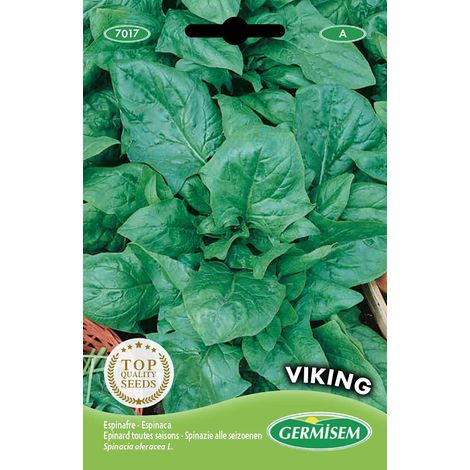 graines Epinard toutes saisons VIKING