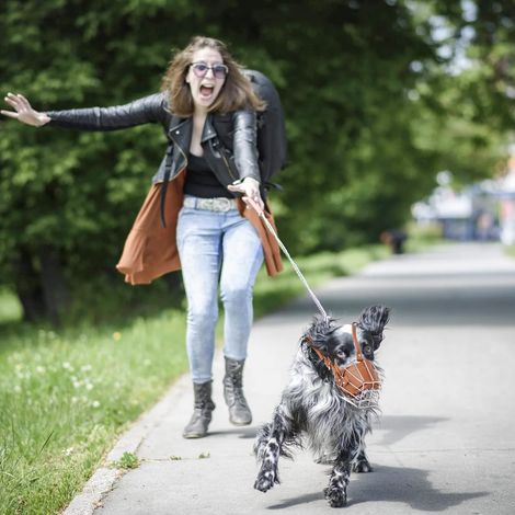 Muselière en métal pour chien, protection buccale ajustable pour chiens de grande, moyenne et petite taille (M). (1/4)