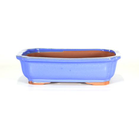 Vaso bonsai smaltato rettangolare cm. 27 Azzurro (1/2)