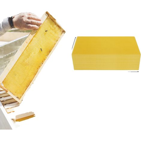Bienenstockgrundlage, reine Bienenwachs, 7,68 x 16,34 Zoll, 30 Stück, kompatibel mit Honigbienenvölkern, schnellere Wabenbildung (1/5)