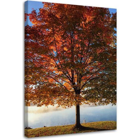 Tableau déco Arbre Automne Feuilles 40x60 (1/5)