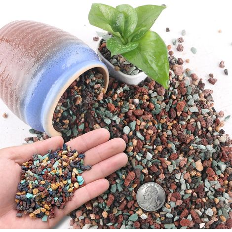 Mélange de Pierres de Lave 1.4 kg pour Plantes - 3-6mm cailloux decoratif pour vase-Drainage pour Cactus, Bonsaï et Succulentes - Décoration de Jardin, Vase et Terrarium (1/5)