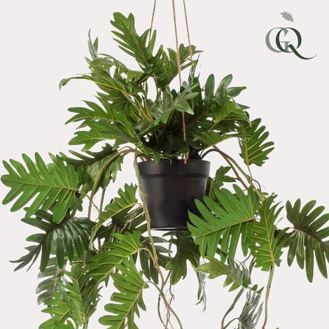 Plante Artificielle Philodendron Tombante Décoration Intérieure Aspect Naturel Vert 80 cm - PANGIVO (1/5)